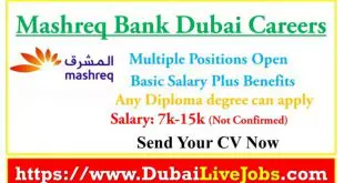 Mashreq bank careers