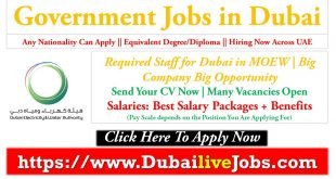 Government Jobs in Dubai