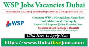 WSP Jobs Vacancies
