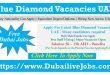 Blue Diamond Resort Fujairah Careers