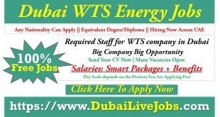 Jobs in WTS Energy Dubai