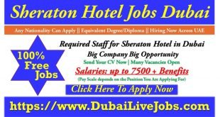 Sheraton Hotels Dubai Careers 