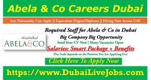 Abela and co careers Dubai