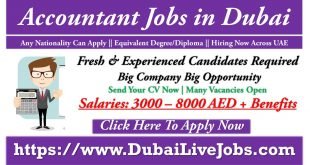 Accountant Jobs In Dubai