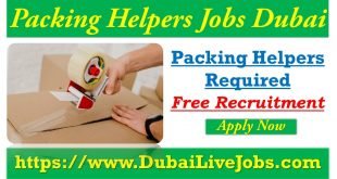 Packing helper jobs in Dubai