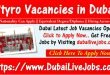 Styro Careers in Dubai