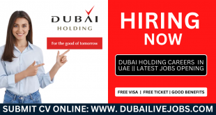 Dubai Holding Jobs