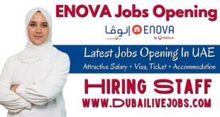 ENOVA Jobs In Dubai -ENOVA Careers