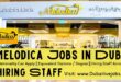 Melodica Jobs In Dubai - Melodica Careers