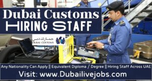 Dubai Customs Jobs In Dubai - Dubai Customs Careers
